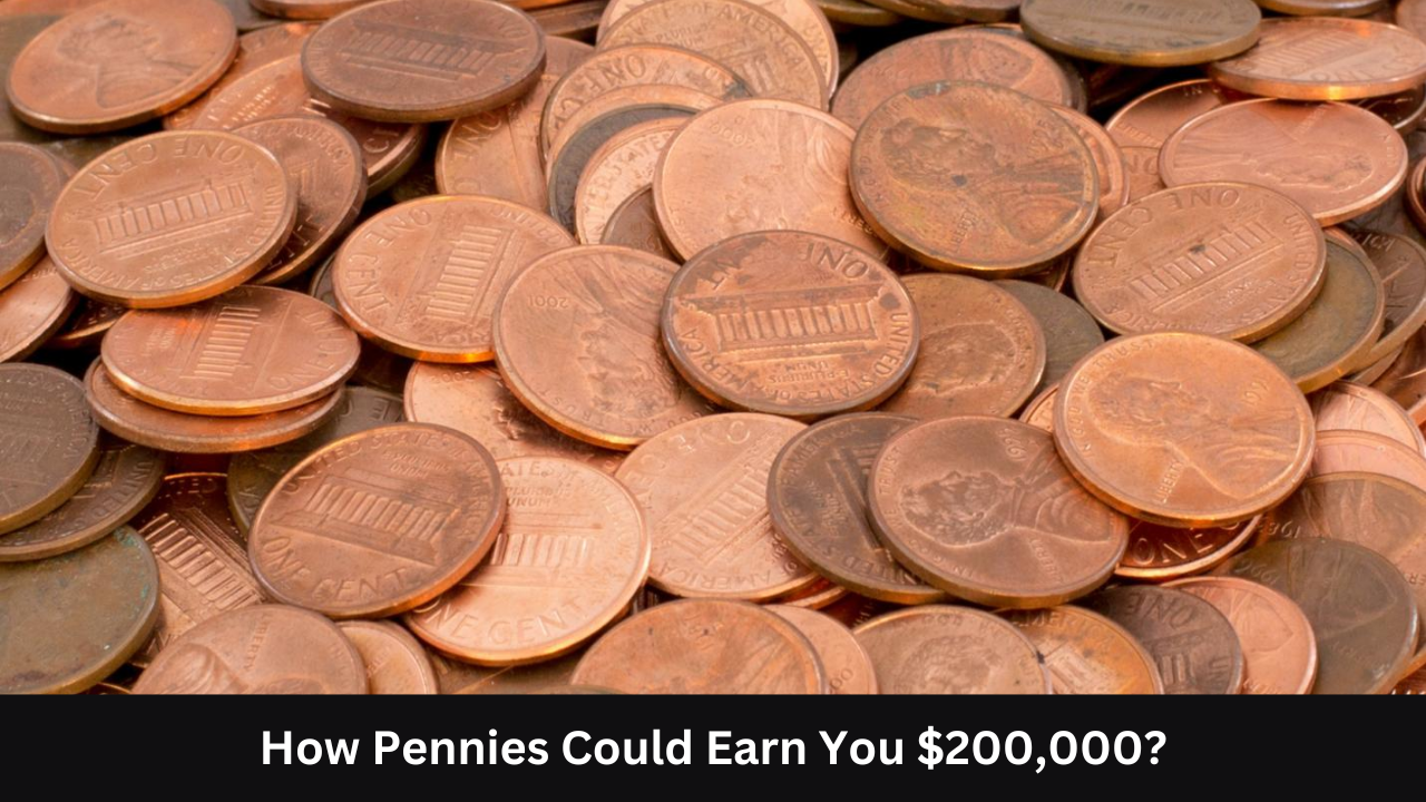 Hidden Treasures: How Pennies Could Earn You $200,000