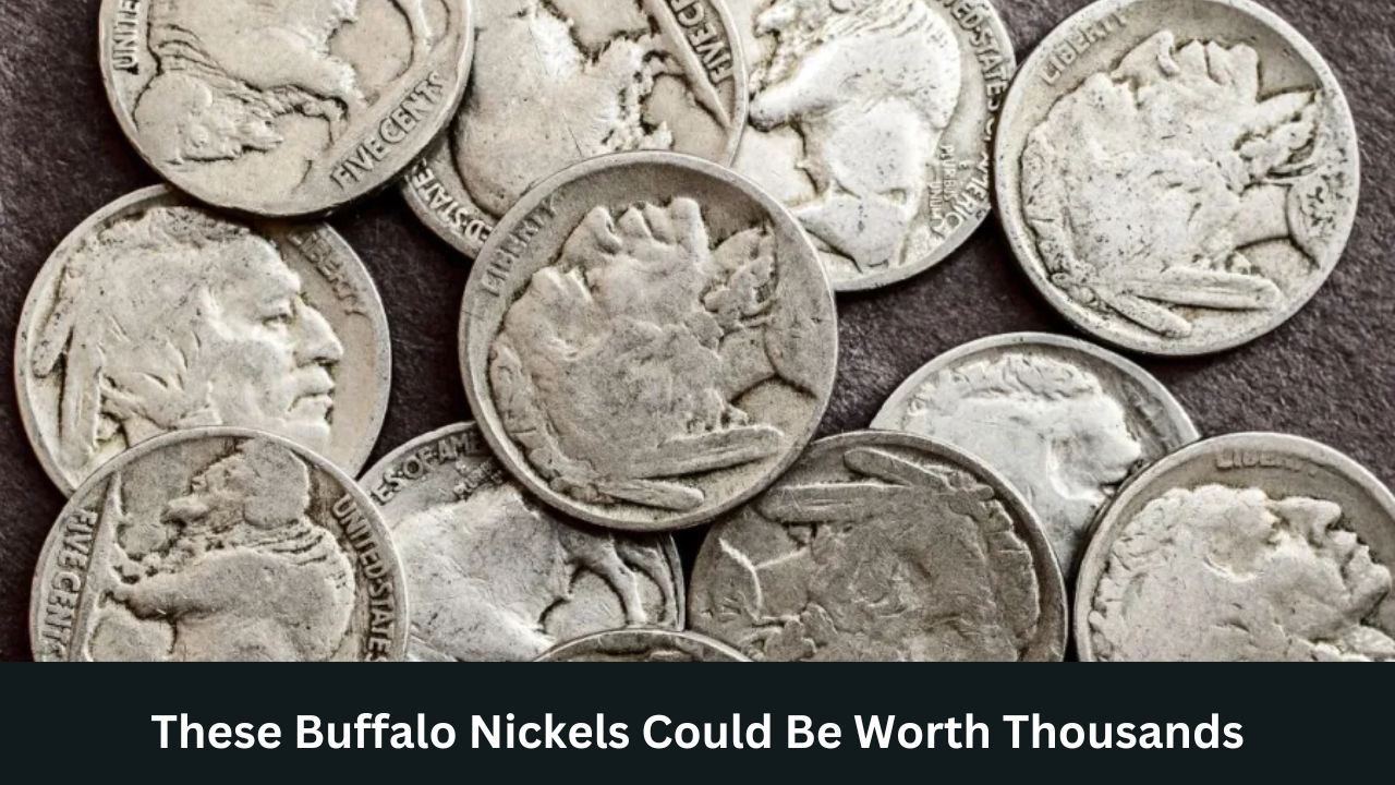 Hidden Value: These Buffalo Nickels Could Be Worth Thousands!